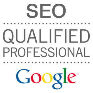 google seo professionals in dublin